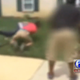 Footage from the video taken of two Delaware teens beating a man with disabilities
ABC6 screenshot